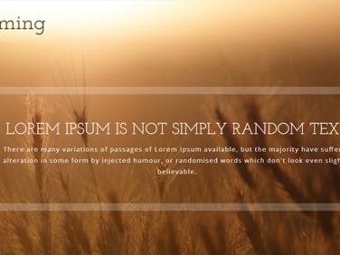 小麦色健康农业网站